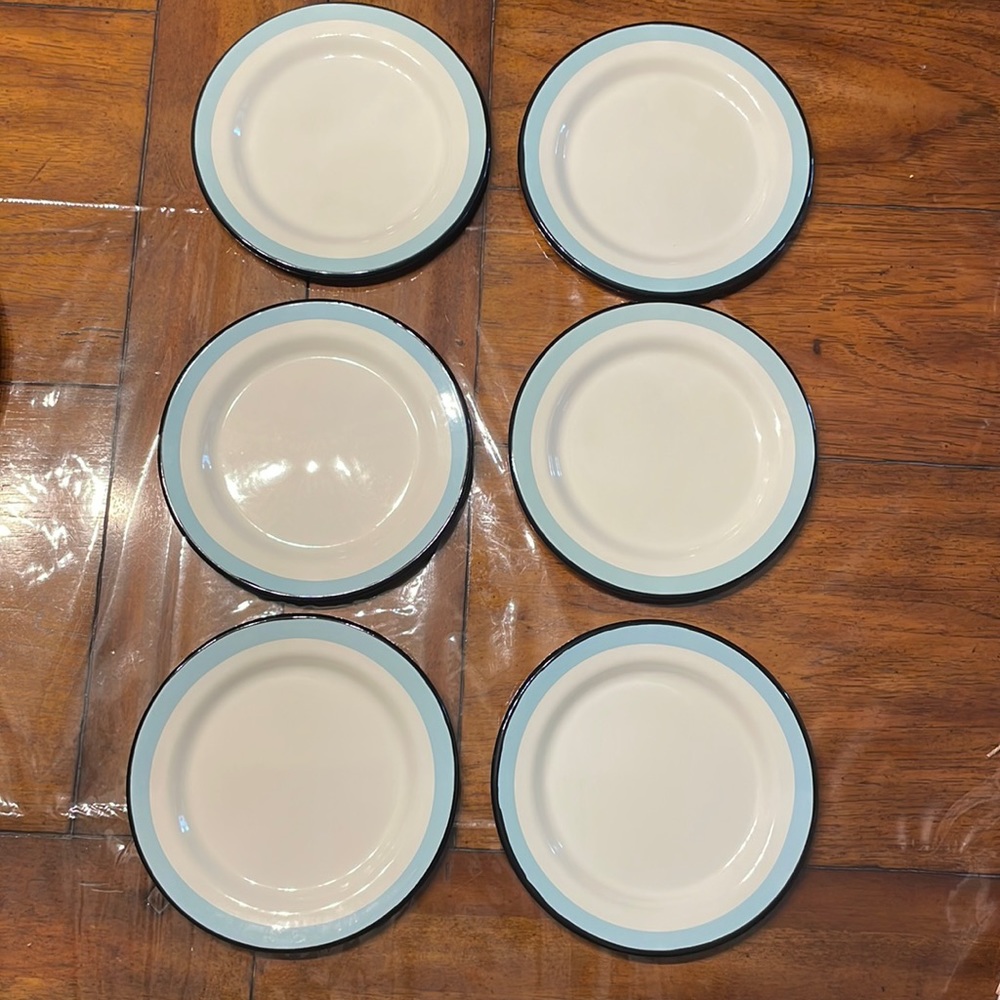 NWOT Set of 6 Hearth & Hand Magnolia Enamel Salad Plates Farmhouse